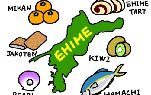 愛媛で免許証自主返納