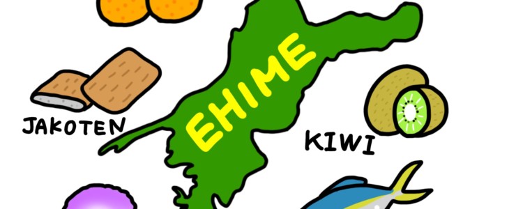 愛媛で免許証自主返納