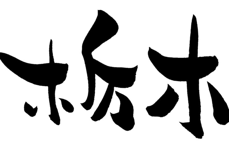 栃木の自主返納