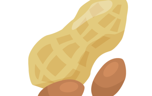 千葉県の返納手続